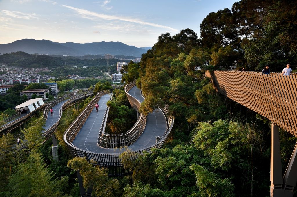 01_01 Forest Connector (Copiar)