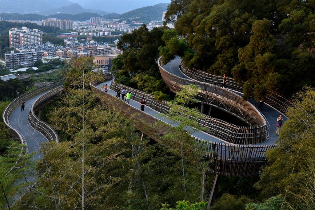 01_03 Forest Connector (Copiar)